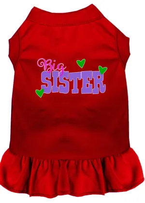 Big Sister Screen Print Dog Dress Red Xs