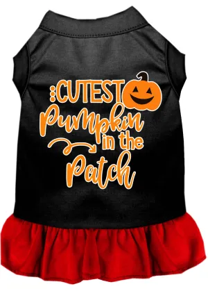 Cutest Pumpkin In The Patch Screen Print Dog Dress Black With Red Xxl