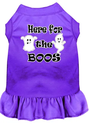 Here For The Boos Screen Print Dog Dress Purple Xs (8)