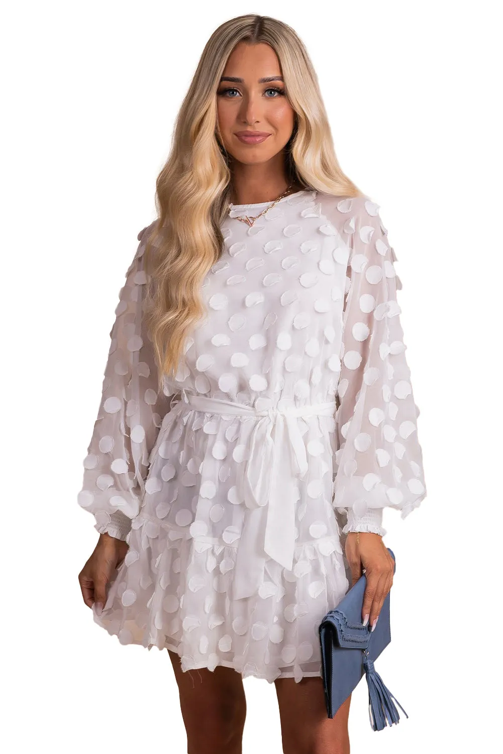 Textured Dot Bubble Sleeve Tie Waist Mini Dress